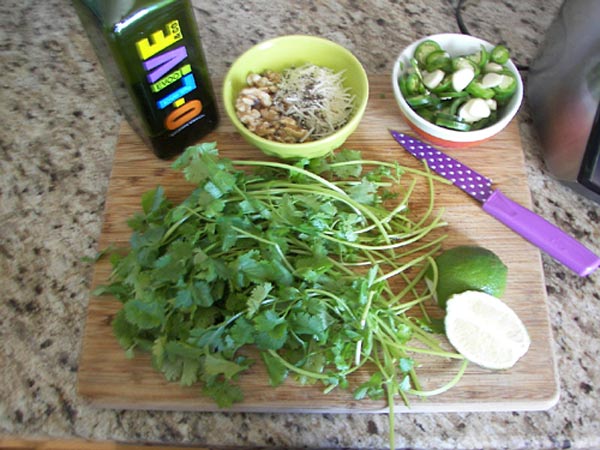 Jalapeno Cilantro Pesto