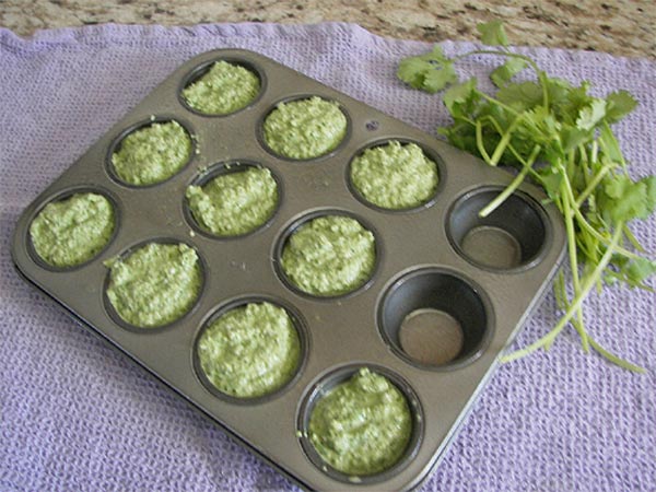 Jalapeno Cilantro Pesto