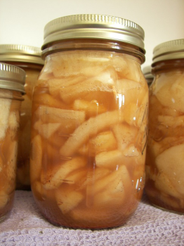 canning apple slices