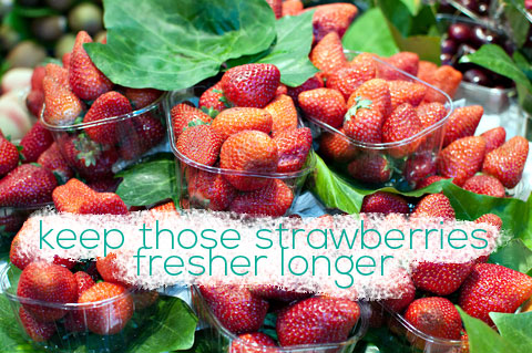 how to store fresh strawberries