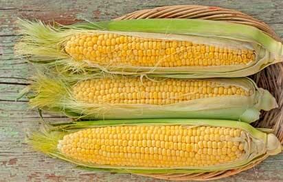 summer corn recipes