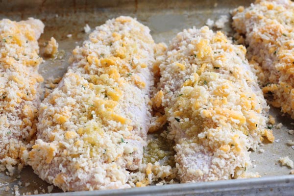 Cooking chicken cheddar on a baking sheet