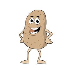 mr. healthy potato
