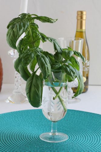 fresh herbs for display or centerpiece