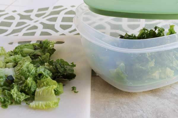 keep our lettuce fresher longer by using a storage container