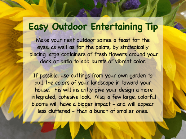 best picnic and party tips