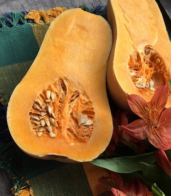 Apple and Sausage-Stuffed Butternut Squash Recipe 