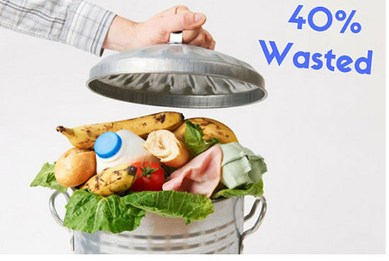 How To Waste Less Food in the Home