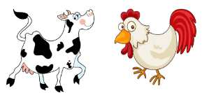 What Wine Goes with Beef or Chicken