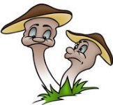 healthy mushrooms for bones