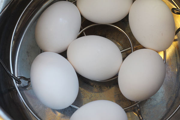 Eggs in The Steamer Basket in the Instant Pot