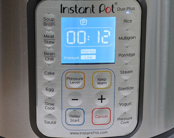 Instant Pot Settings and Features