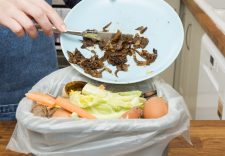 wasted food in the garbage